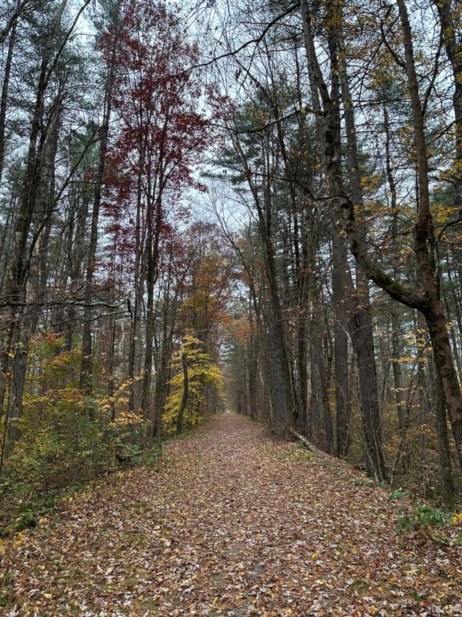 Escape To A Streamside Cabin In The Lower Catskills Wurtsboro 外观 照片